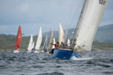 scintilla of the sea 920y whyw16 sun 800 0470w